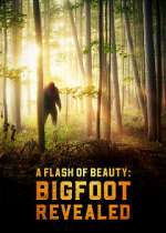 Watch A Flash of Beauty: Bigfoot Revealed M4ufreemovies