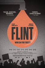 Watch Flint M4ufreemovies