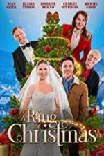 Watch A Ring for Christmas M4ufreemovies