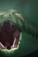 Watch The World's Largest Snake M4ufreemovies