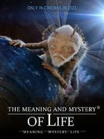 Watch The Meaning and Mystery of Life M4ufreemovies
