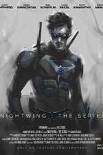 Watch Nightwing: The Series M4ufreemovies