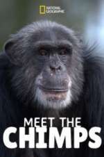 Watch Meet the Chimps M4ufreemovies