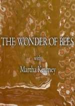 Watch The Wonder of Bees with Martha Kearney M4ufreemovies