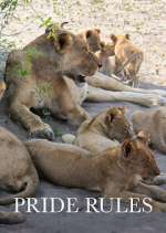 Watch Pride Rules M4ufreemovies