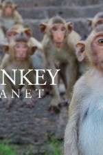 Watch Monkey Planet M4ufreemovies