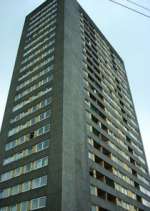 Watch High Times M4ufreemovies