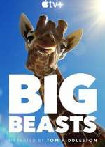 Watch Big Beasts M4ufreemovies