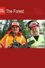 Watch The Forest M4ufreemovies