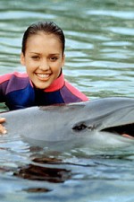 Watch Flipper (The New Adventures of Flipper) M4ufreemovies