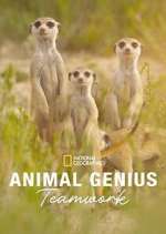 Watch Animal Genius M4ufreemovies