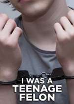 Watch I Was a Teenage Felon M4ufreemovies