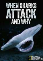 Watch When Sharks Attack... And Why M4ufreemovies