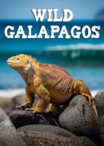 Watch Wild Galapagos M4ufreemovies