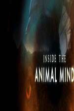 Watch Inside the Animal Mind M4ufreemovies