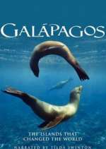 Watch Galapagos M4ufreemovies