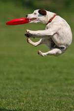 Watch Dogs 101: New Tricks M4ufreemovies