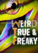 Watch Weird, True & Freaky M4ufreemovies