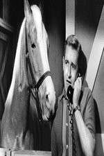 Watch Countdown to... M4ufreemovies