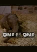 Watch One by One M4ufreemovies