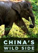 Watch China's Wild Side M4ufreemovies