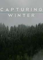 Watch Capturing Winter M4ufreemovies