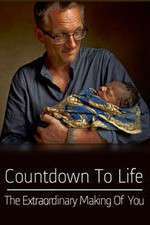Watch Countdown to Life The Extraordinary Making of You M4ufreemovies
