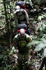Watch Walking The Amazon M4ufreemovies