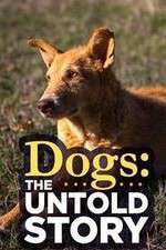 Watch Dogs: The Untold Story M4ufreemovies