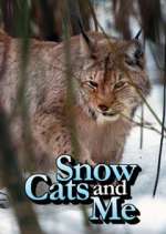 Watch Snow Cats and Me M4ufreemovies