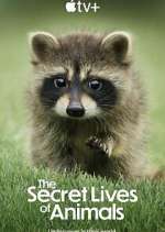 Watch The Secret Lives of Animals M4ufreemovies