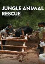 Watch Jungle Animal Rescue M4ufreemovies
