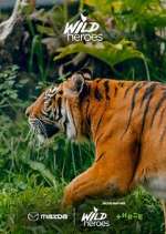 Watch Wild Heroes M4ufreemovies