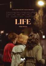 Watch Vida perfecta M4ufreemovies