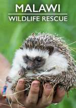Watch Malawi Wildlife Rescue M4ufreemovies