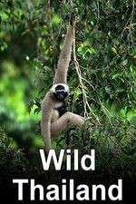 Watch Wild Thailand M4ufreemovies