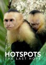 Watch Hotspots: The Last Hope M4ufreemovies
