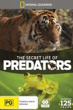 Watch Secret Life of Predators M4ufreemovies