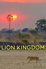 Watch Lion Kingdom M4ufreemovies