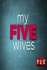 Watch My Five Wives M4ufreemovies