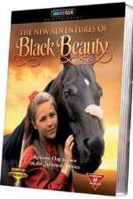 Watch The New Adventures of Black Beauty M4ufreemovies