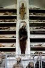 Watch Mummies Never Die M4ufreemovies