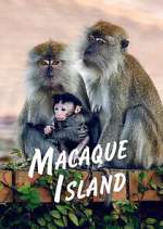 Watch Macaque Island M4ufreemovies