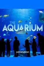 Watch The Aquarium M4ufreemovies