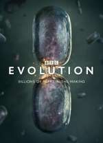 Evolution