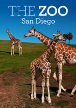 Watch The Zoo: San Diego M4ufreemovies