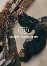 Watch Flatbush Misdemeanors M4ufreemovies