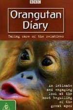 Watch Orangutan Diary M4ufreemovies