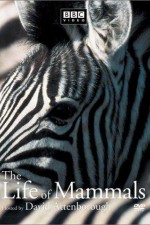 Watch The Life of Mammals M4ufreemovies