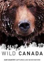 Watch Wild Canada M4ufreemovies